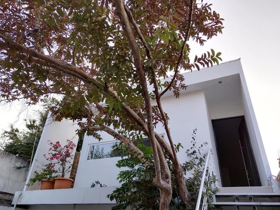 Casa Mango Amplia Con Alberca Y Cerca De La Media Luna !!! Ріо-Верде Екстер'єр фото